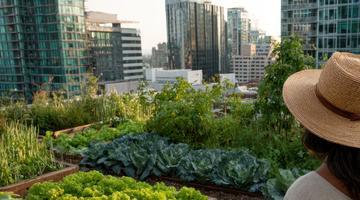 Urban Agriculture